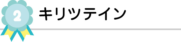 キリツテイン